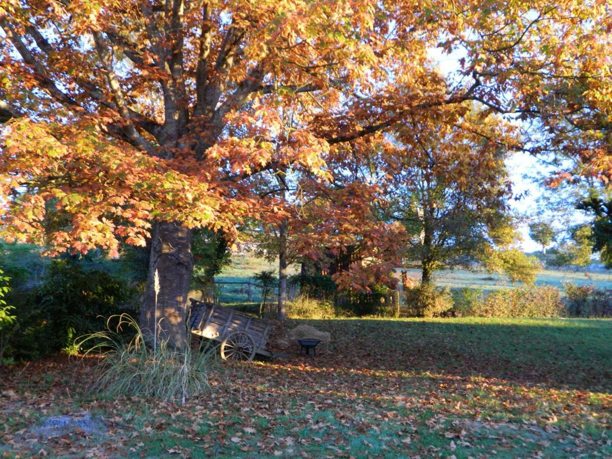 Centre De Bien-Etre Et Ses Chambres D'Hote Villeneuve-de-Riviere Exterior photo